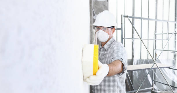 Best Industrial Mold Remediation  in Brookhaven, MS